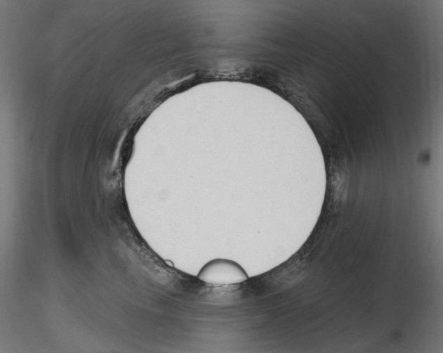 X0000116510665201001061224