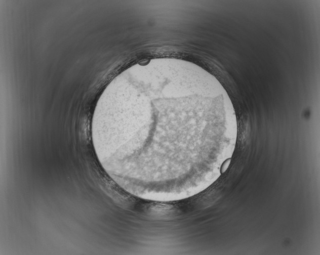 X0000116510669201001061224