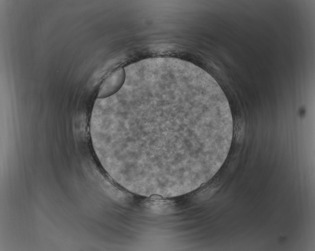 X0000116510670201001061224