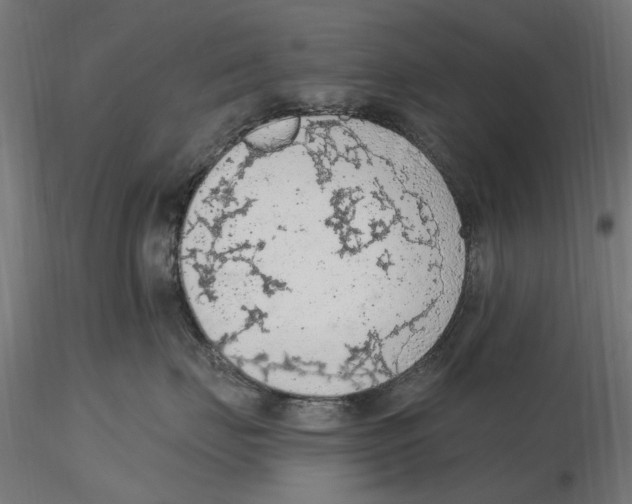 X0000116510671201001061224