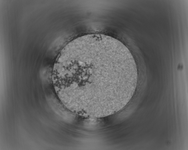 X0000116510672201001061224