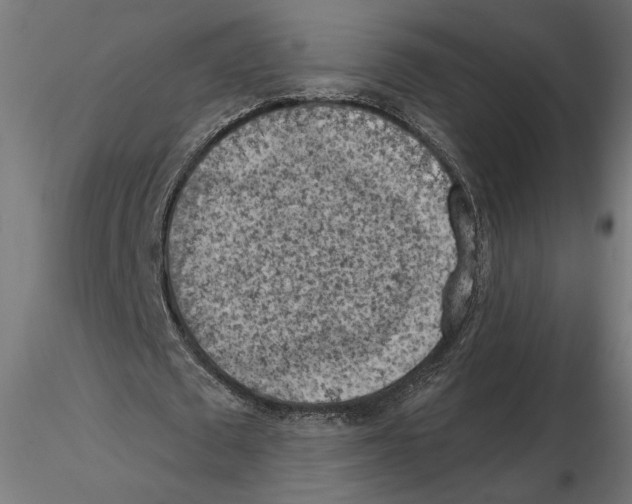 X0000116510673201001061223