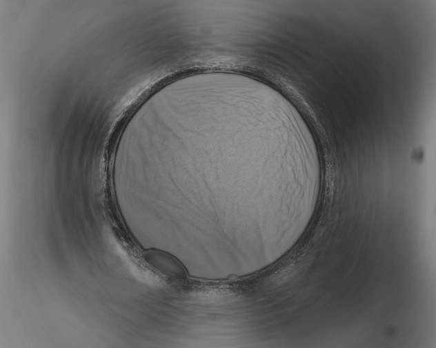 X0000116510674201001061223