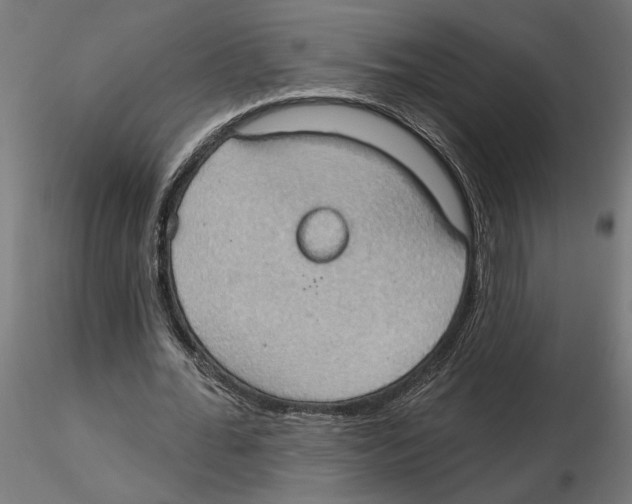 X0000116510676201001061223