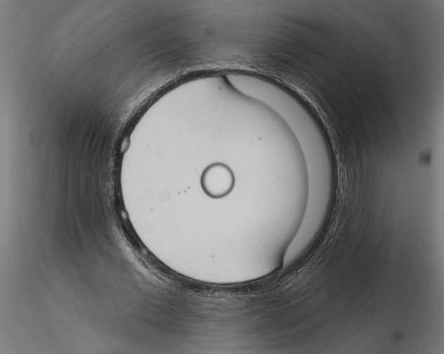 X0000116510677201001061223