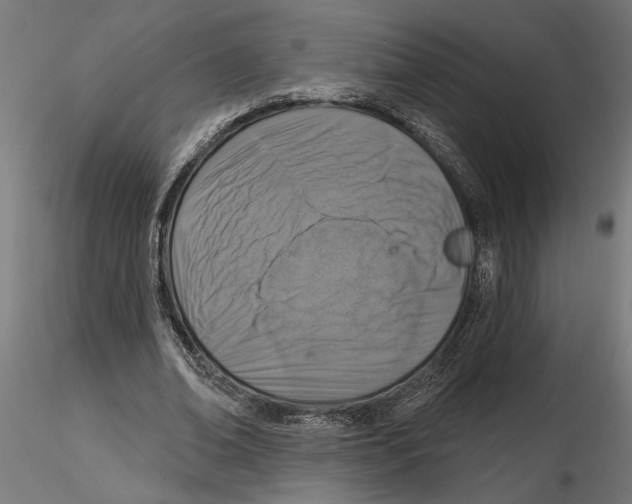 X0000116510678201001061223
