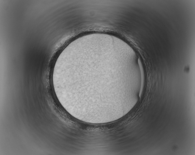 X0000116510679201001061223
