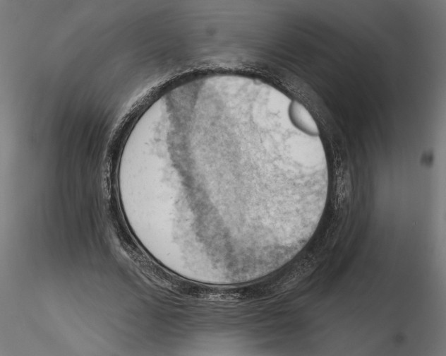X0000116510680201001061223