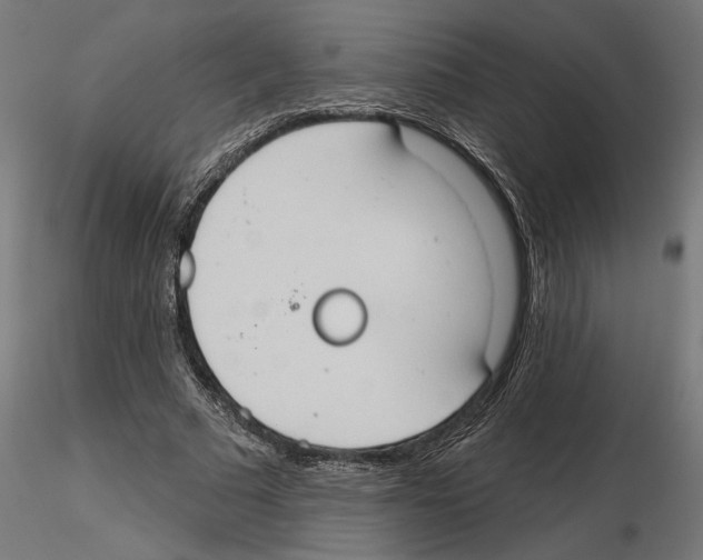 X0000116510681201001061223