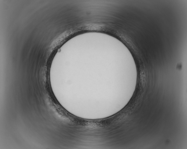 X0000116510682201001061223