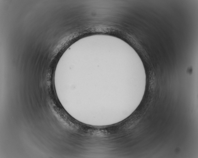 X0000116510683201001061223