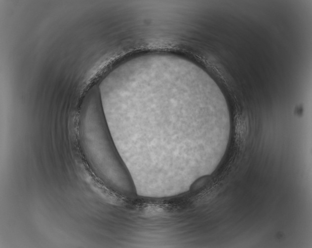 X0000116510684201001061223