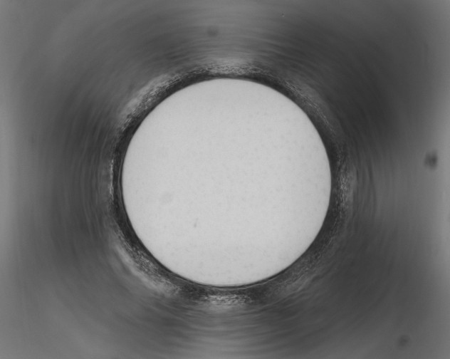 X0000116510686201001061223