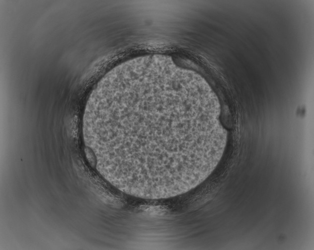 X0000116510689201001061223
