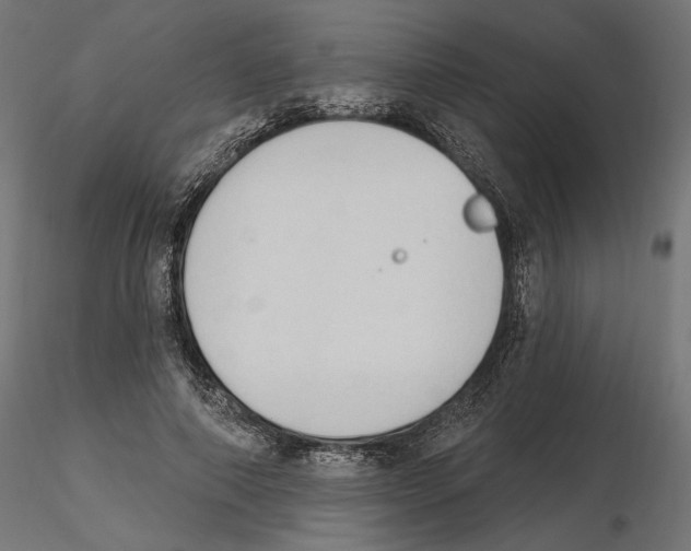 X0000116510690201001061223