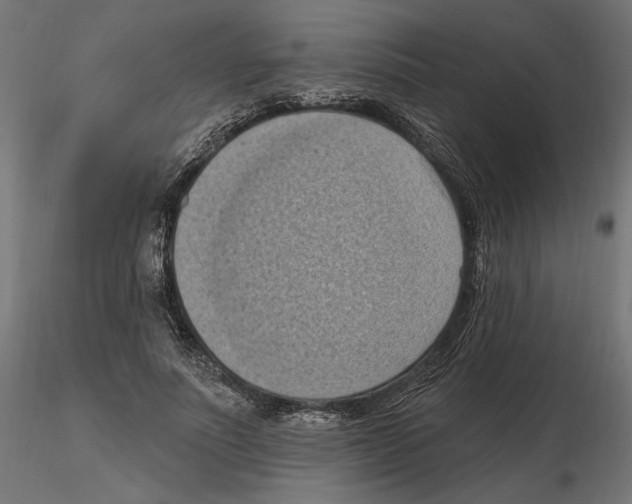 X0000116510691201001061223
