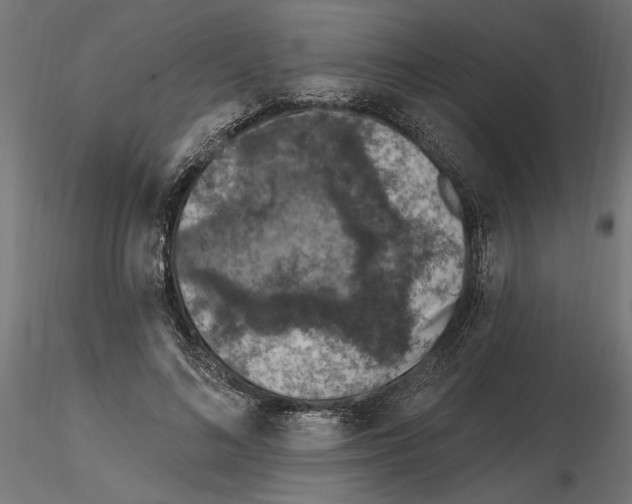 X0000116510692201001061223
