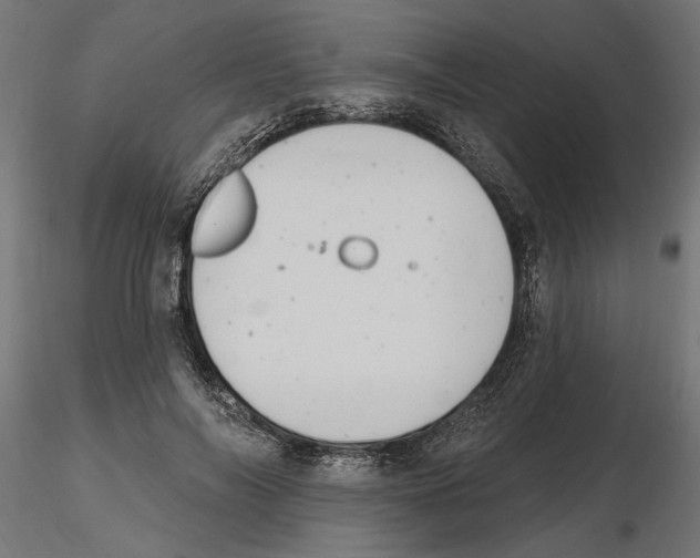 X0000116510694201001061223