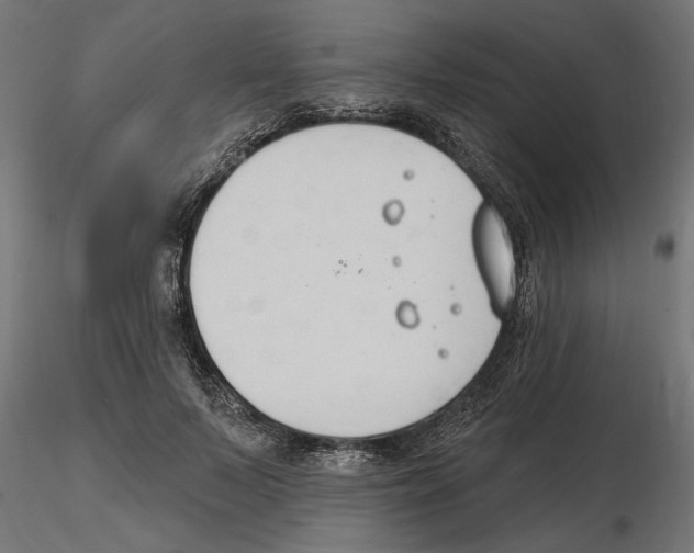 X0000116510695201001061223