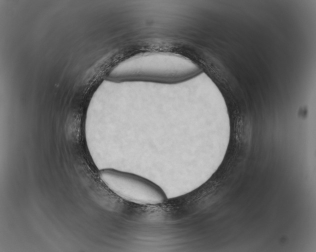 X0000116510697201001061223