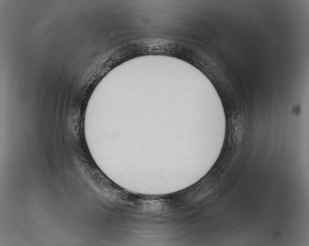 X0000116510698201001061223
