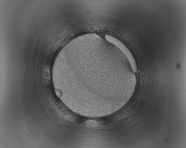 X0000116510699201001061223