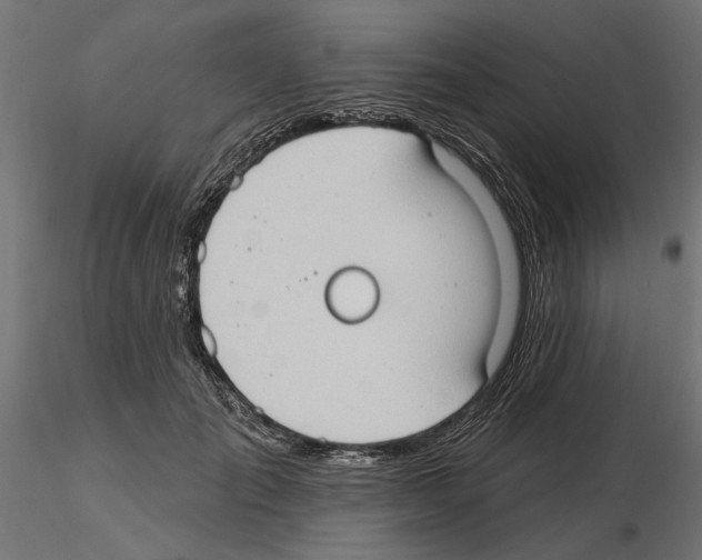 X0000116510701201001061223