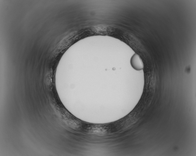 X0000116510702201001061223