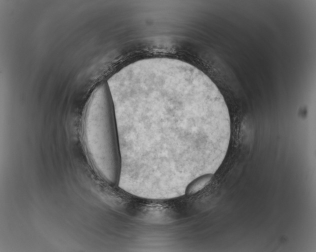 X0000116510704201001061223