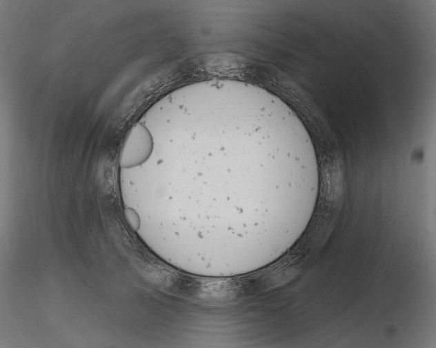 X0000116510705201001061223