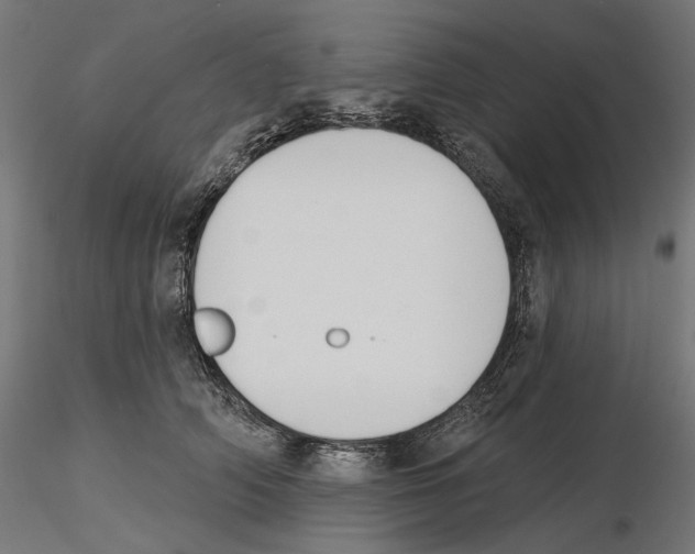 X0000116510706201001061223