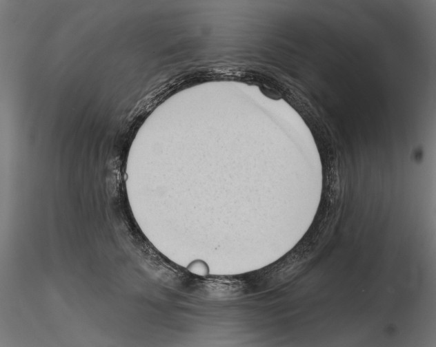 X0000116510707201001061223
