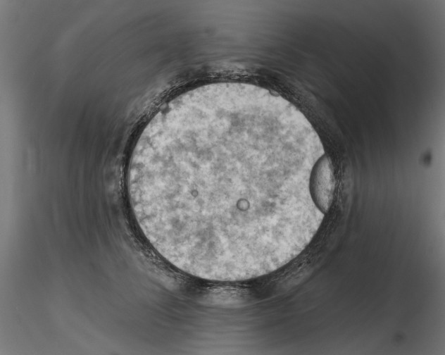 X0000116510708201001061223