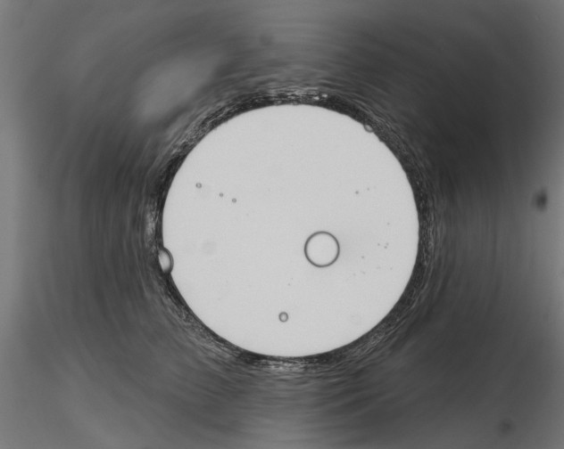 X0000116510709201001061223