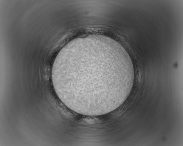 X0000116510712201001061223