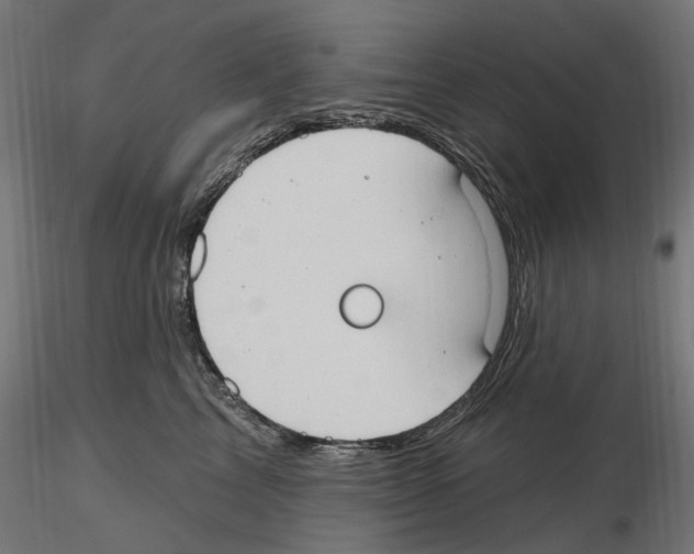 X0000116510713201001061223