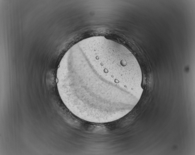 X0000116510715201001061223