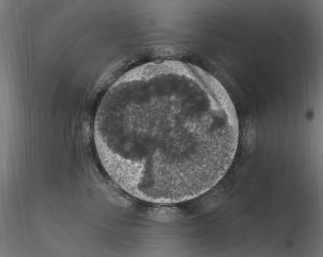 X0000116510716201001061223