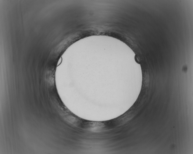 X0000116510719201001061223