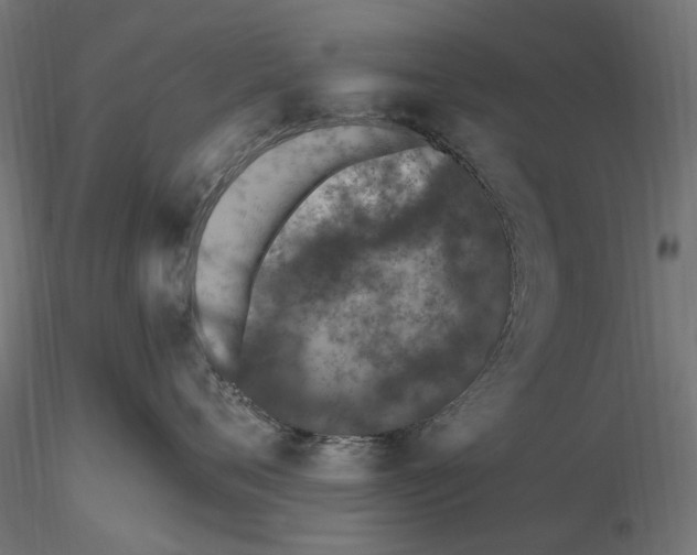 X0000116510720201001061223