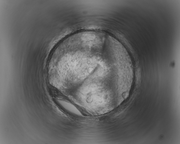 X0000116510721201001061222