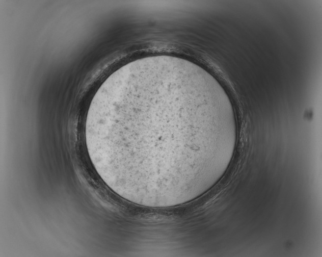 X0000116510722201001061222