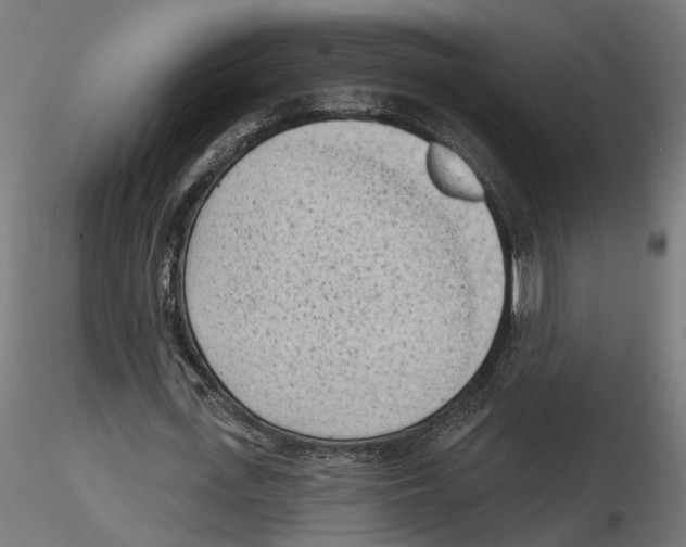 X0000116510723201001061222