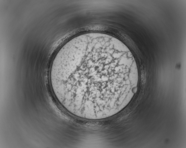 X0000116510725201001061222