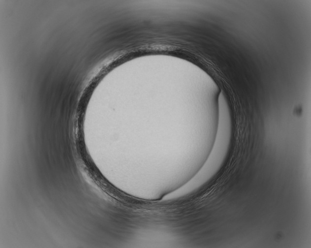 X0000116510726201001061222