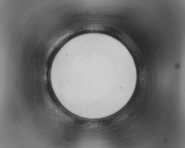 X0000116510727201001061222