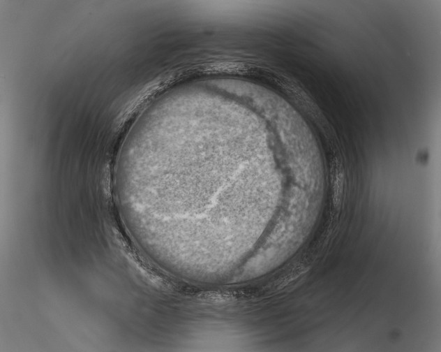 X0000116510729201001061222