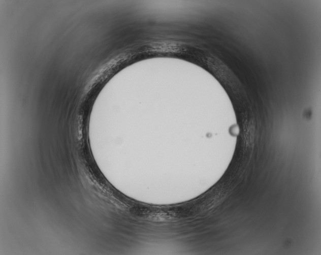 X0000116510731201001061222