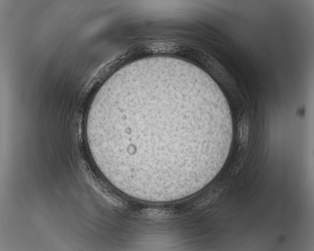 X0000116510733201001061222