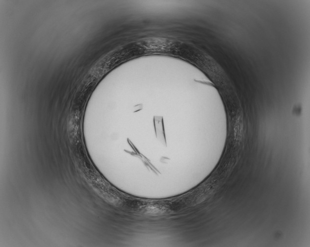 X0000116510737201001061222